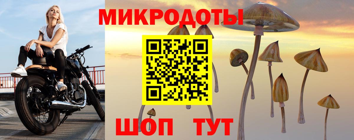 даркнет сайт  Галлюциногенные грибы Psilocybe  Вход с VPN  Рыбинск 