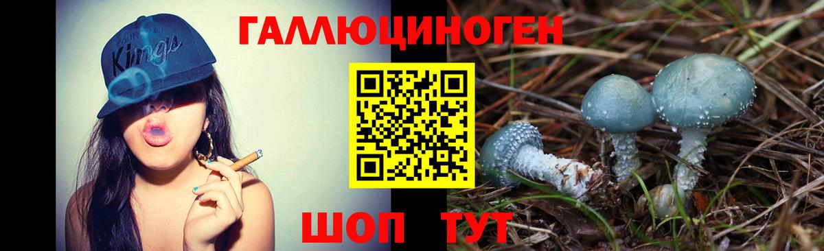 Псилоцибиновые грибы Psilocybe Рыбинск